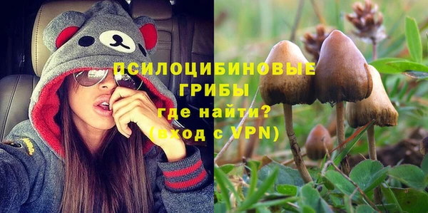 мет Ладушкин