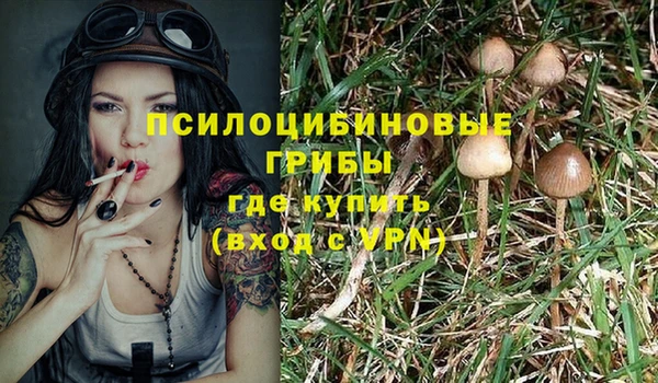 мет Ладушкин