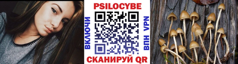 Галлюциногенные грибы прущие грибы  Новокубанск 