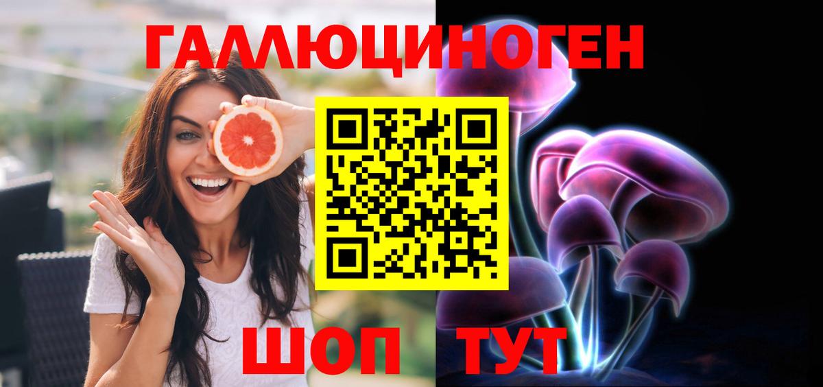 Новокубанск  Псилоцибиновые грибы Psilocybe  Вход с VPN 