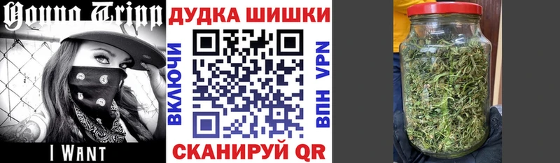 omg сайт Новокубанск Каннабис семена
